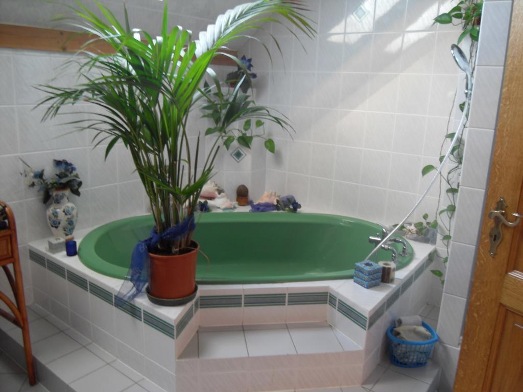 Hofstetten-Fluh Bed&Breakfast In Flueh מראה חיצוני תמונה